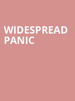 Widespread Panic, Brandon Amphitheater, Jackson